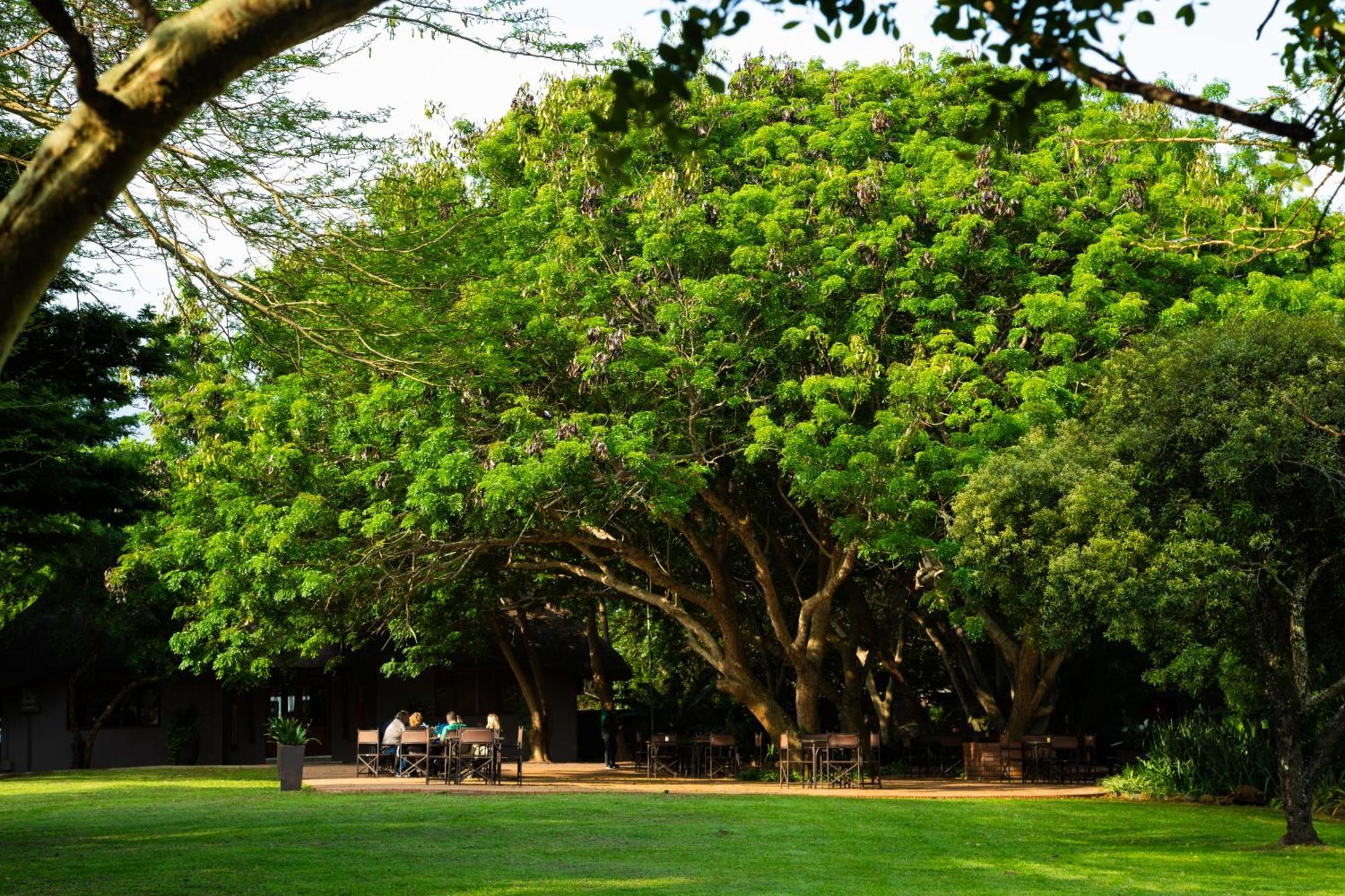 Falaza Game Park And Spa Hluhluwe Eksteriør billede